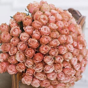 Букет из пионовидных роз Пионовидных роз Кахала (Kahala) - 101