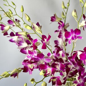 Букет из орхидеи Дендробиум - 19
