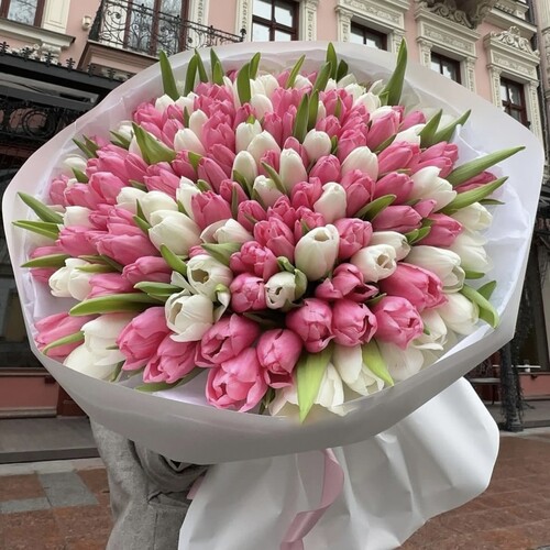 Букет из 151 Розовых и Белых Тюльпанов