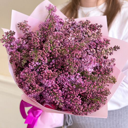Сирень Садовая сезонная