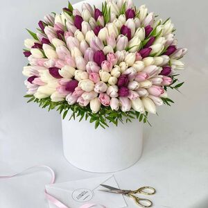 Коробка с цветами Весенние Тюльпаны - 99