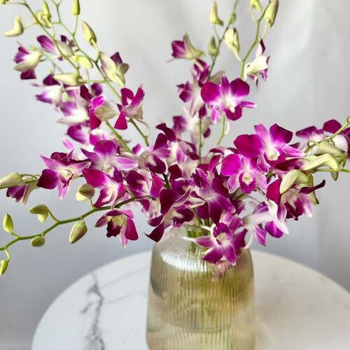 Букет из орхидеи Дендробиум